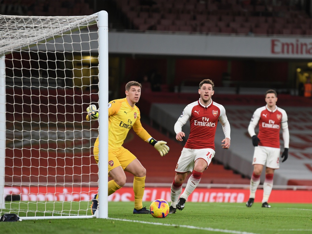 年提供了接 年提供了接